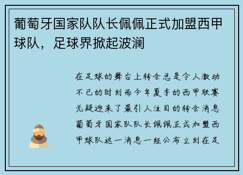 葡萄牙国家队队长佩佩正式加盟西甲球队，足球界掀起波澜